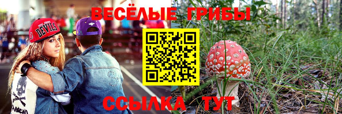 Галлюциногенные грибы мицелий  Вход с VPN  Топки 