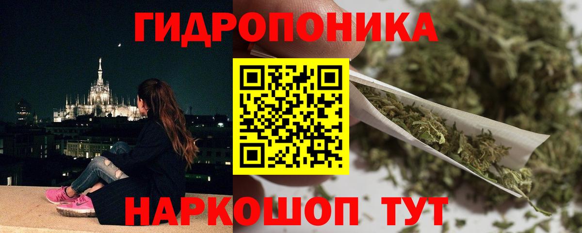 Шишки марихуана Ganja  МАРИХУАНА ГИДРОПОН  Топки  Бошки марихуана Bruce Banner  Каннабис план  Вход с VPN 